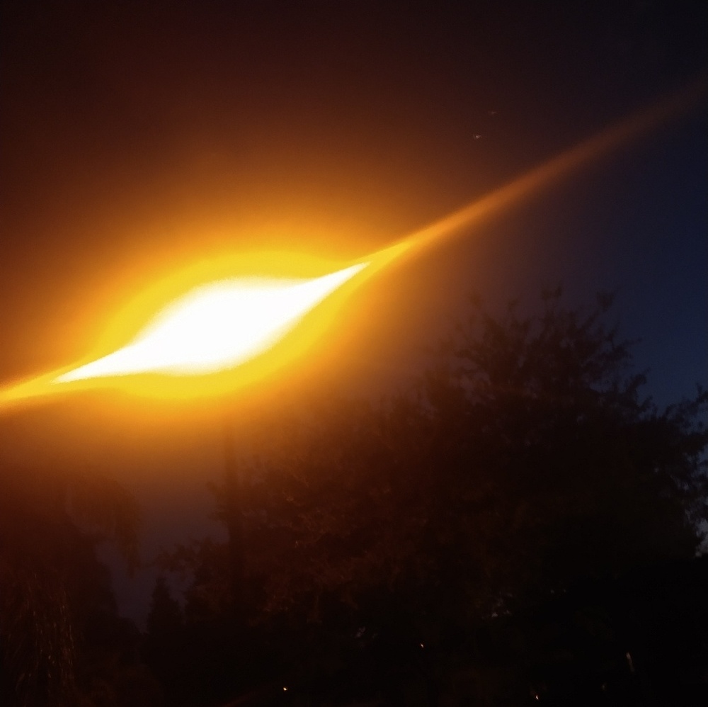 Meet your Posher, Ava